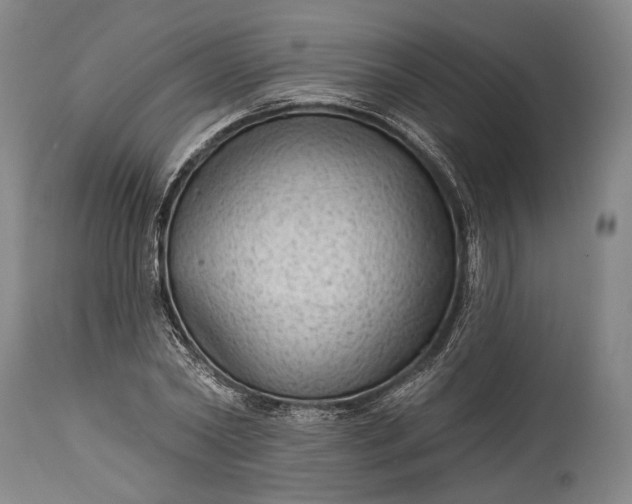 X0000115290782200911161633
