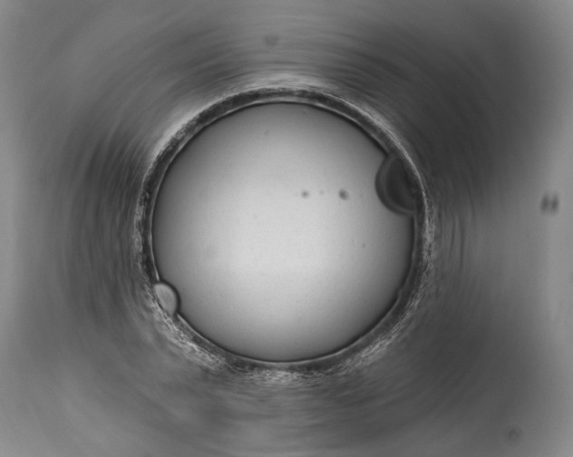 X0000115290783200911161633