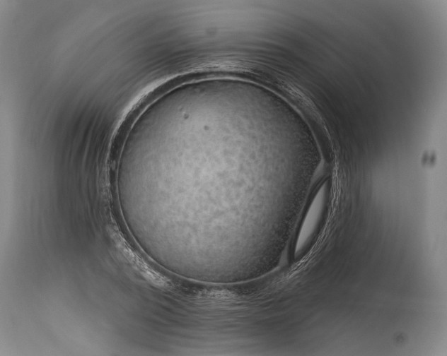X0000115290784200911161633