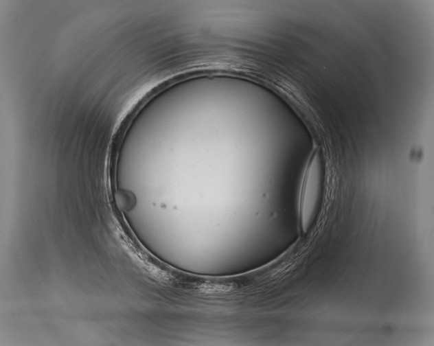 X0000115290788200911161633
