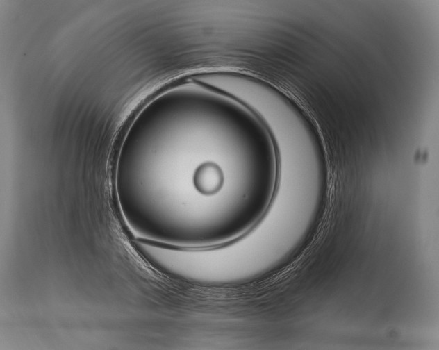 X0000115290789200911161633