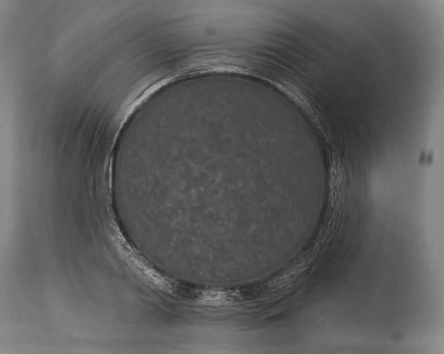 X0000115290790200911161633