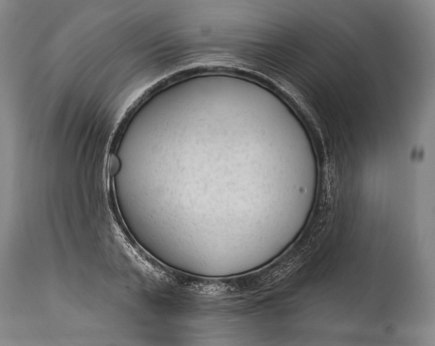 X0000115290791200911161633