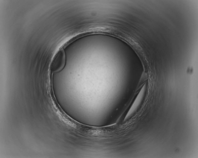 X0000115290792200911161633