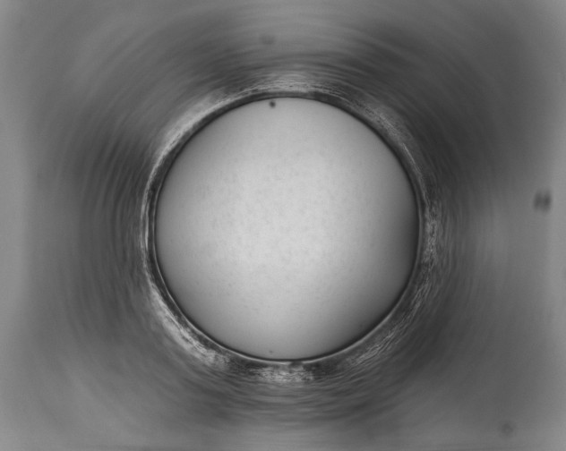 X0000115290795200911161633