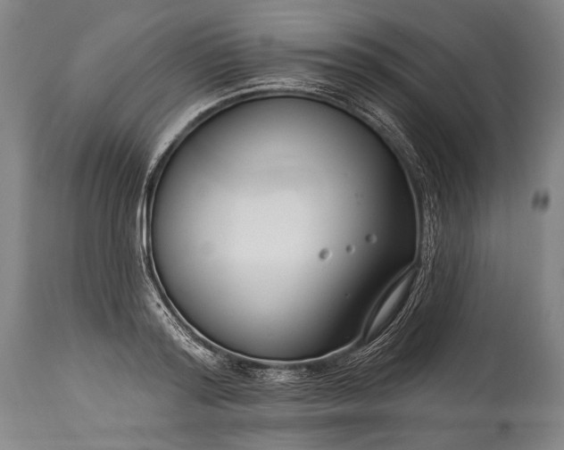 X0000115290796200911161633
