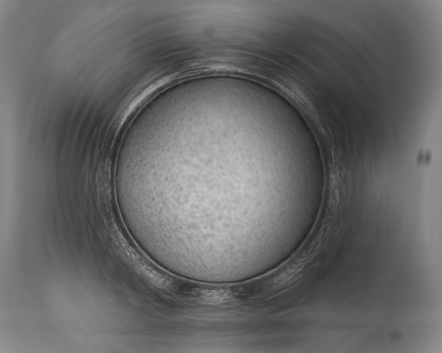 X0000115290798200911161633