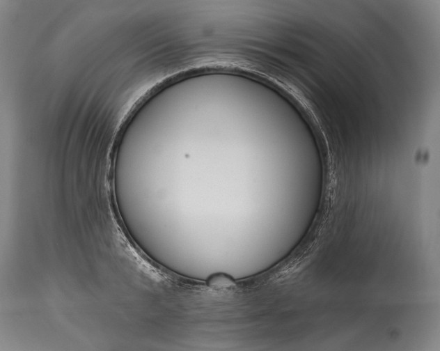 X0000115290799200911161633