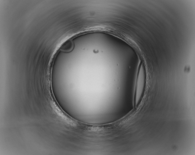X0000115290800200911161633