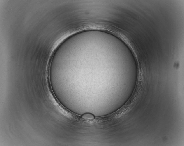 X0000115290803200911161633