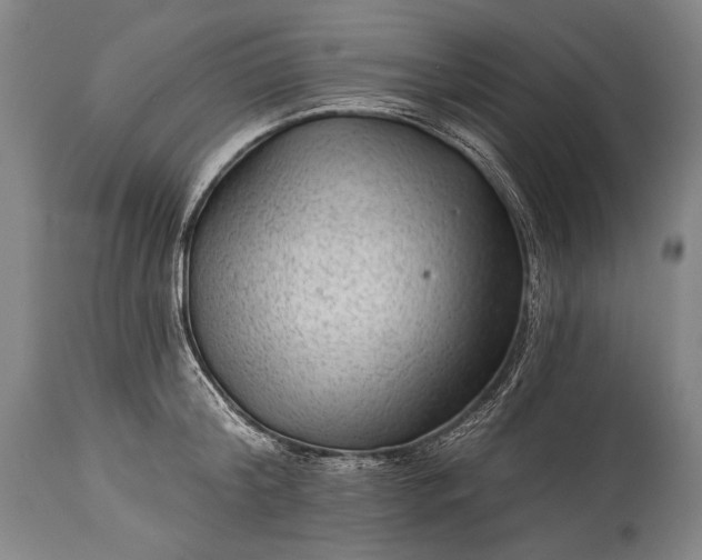 X0000115290804200911161633