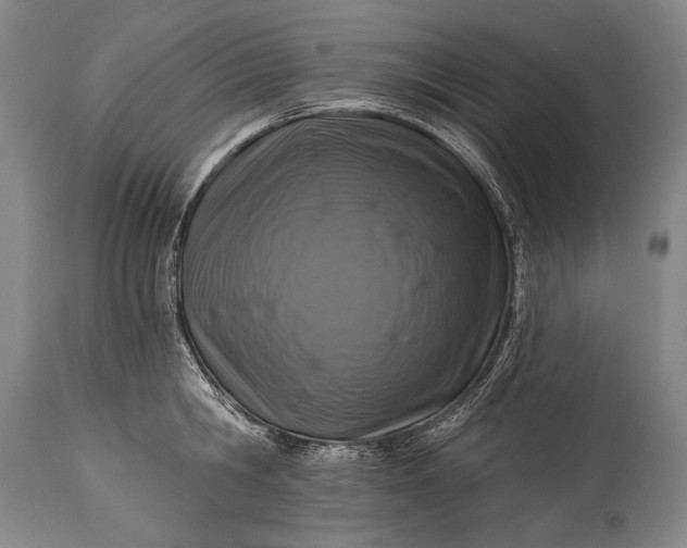 X0000115290806200911161633