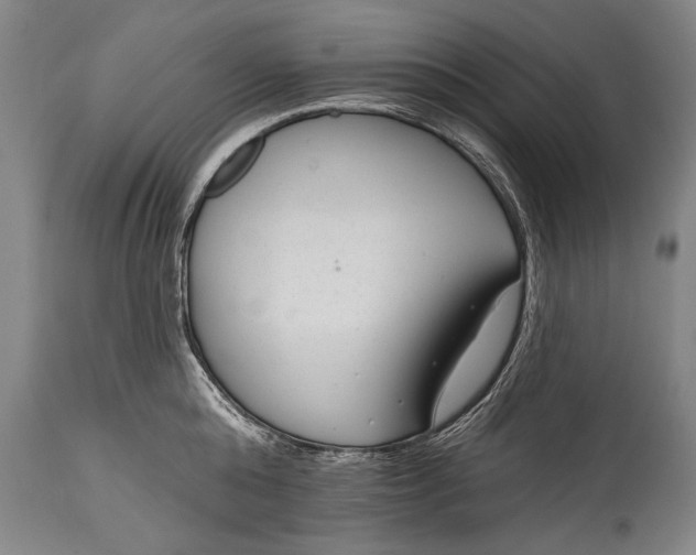 X0000115290808200911161633