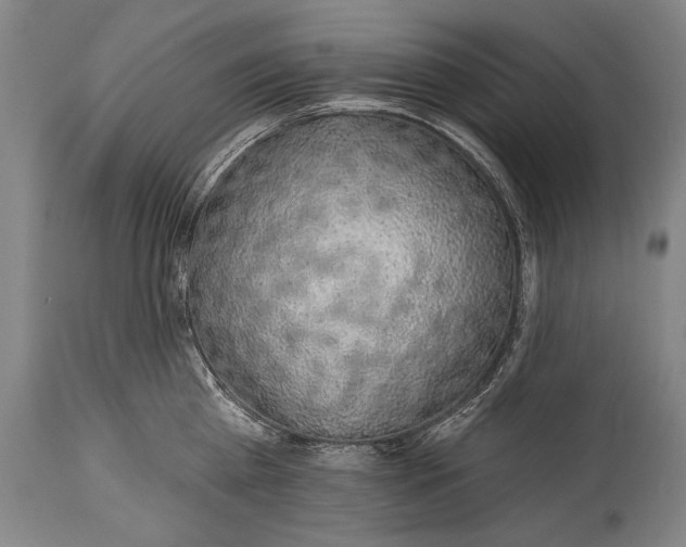 X0000115290809200911161632