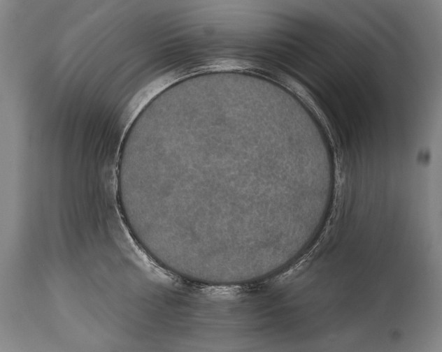X0000115290810200911161632
