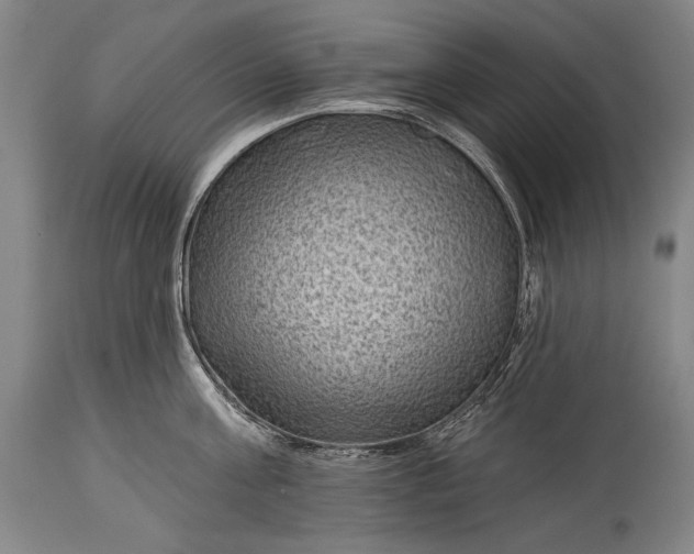 X0000115290811200911161632