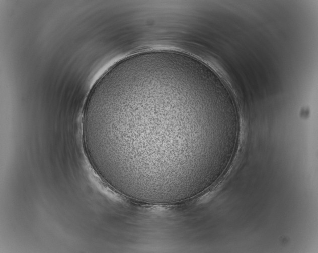 X0000115290814200911161632