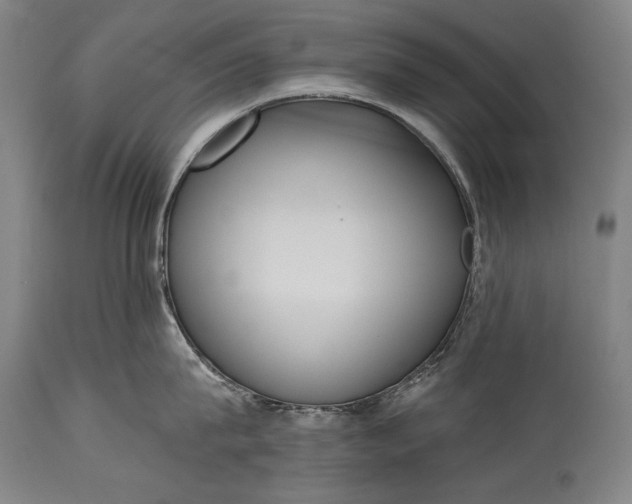 X0000115290815200911161632