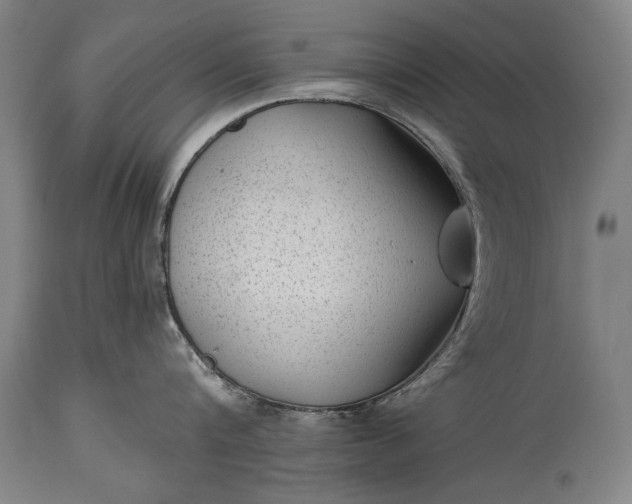 X0000115290816200911161632