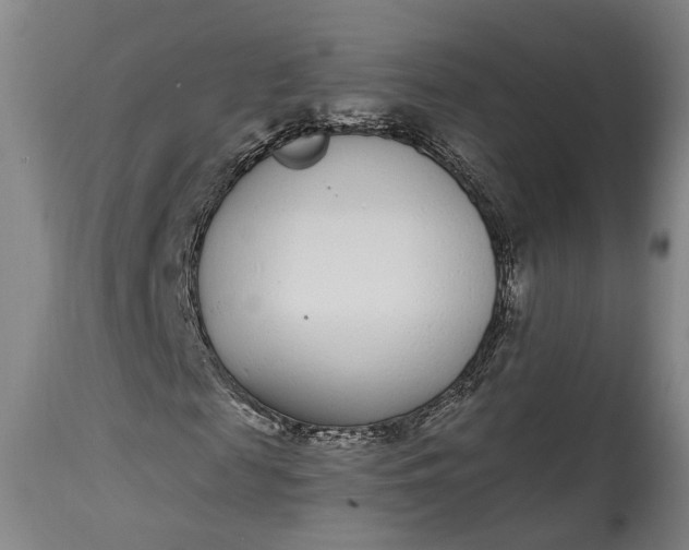 X0000115290817200911161632