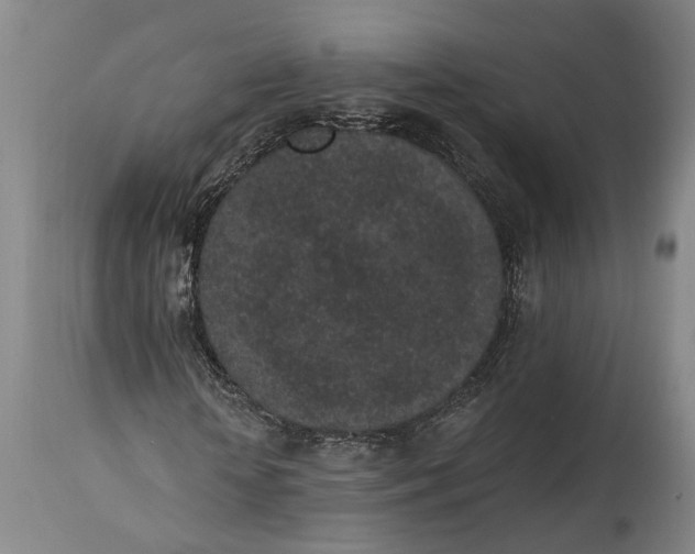 X0000115290818200911161632