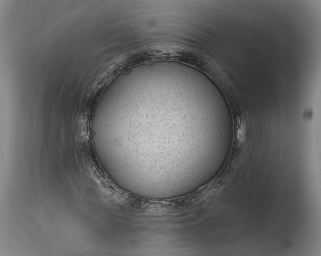 X0000115290819200911161632