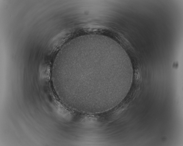 X0000115290820200911161632