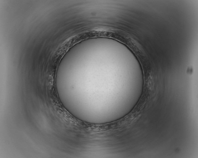 X0000115290821200911161632