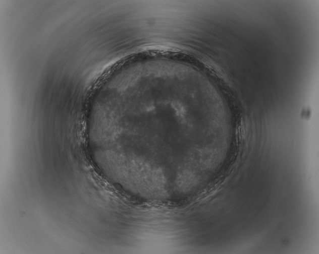 X0000115290822200911161632