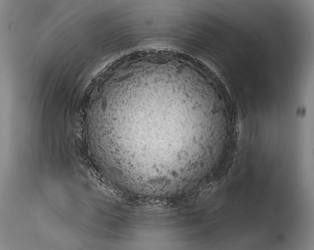 X0000115290823200911161632