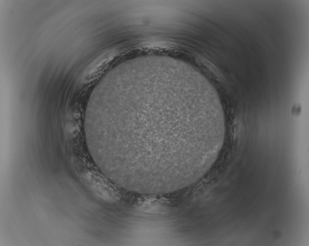 X0000115290824200911161632