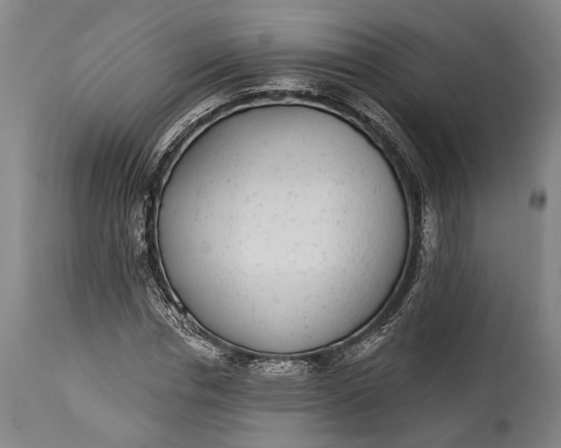 X0000115290826200911161632