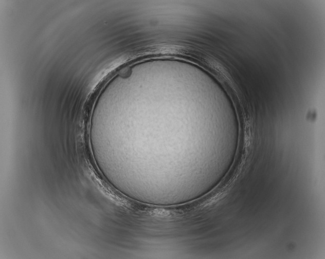 X0000115290827200911161632