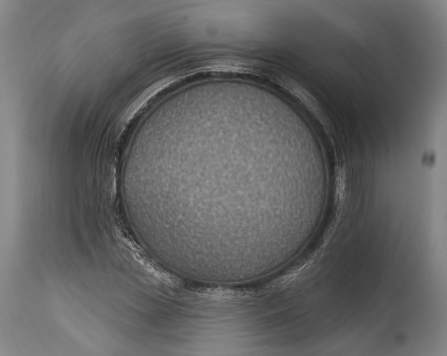X0000115290829200911161632