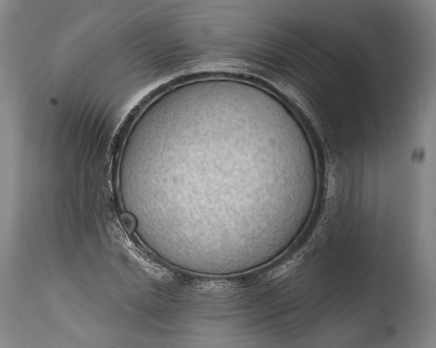 X0000115290830200911161632