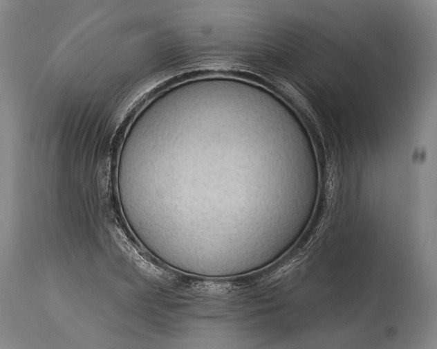 X0000115290831200911161632