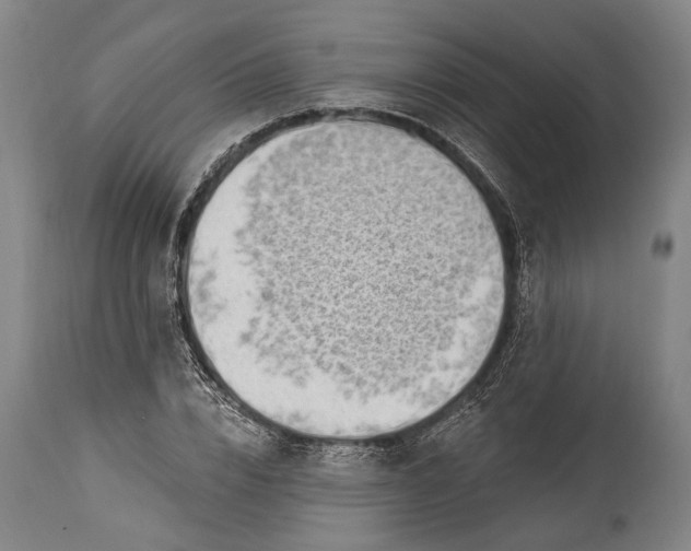 X0000115290832200911161632