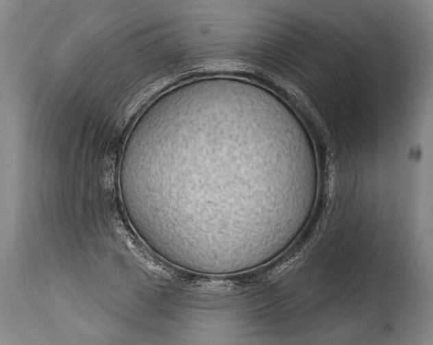 X0000115290833200911161632