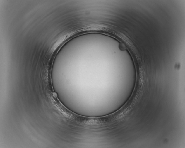 X0000115290834200911161632