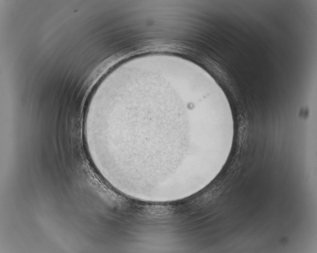 X0000115290836200911161632