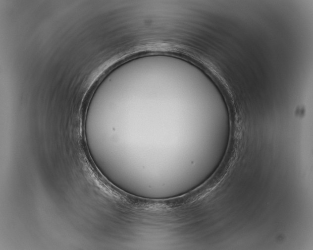 X0000115290837200911161632