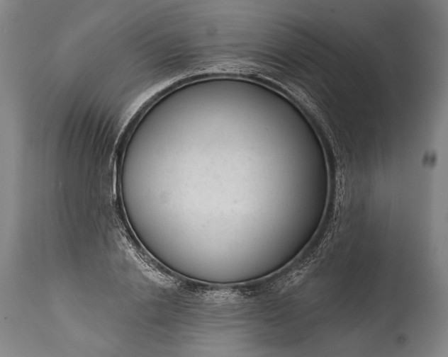 X0000115290838200911161632