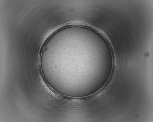 X0000115290839200911161632