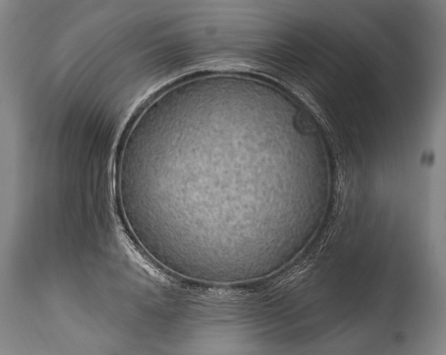 X0000115290840200911161632