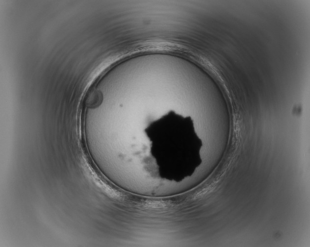 X0000115290843200911161632