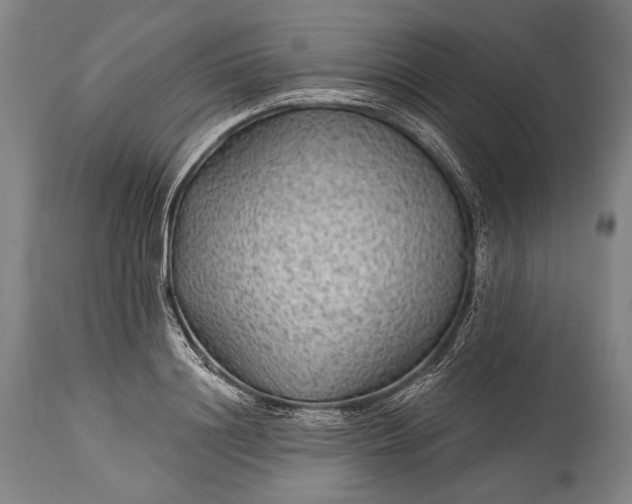 X0000115290844200911161632