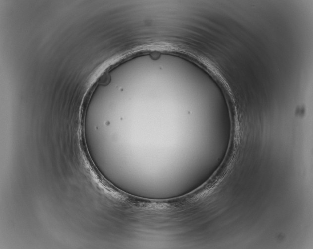 X0000115290845200911161632