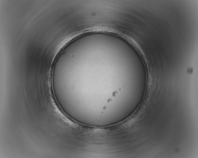 X0000115290847200911161632