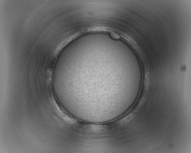 X0000115290849200911161632