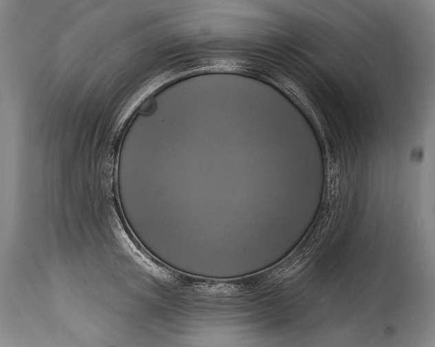 X0000115290851200911161632